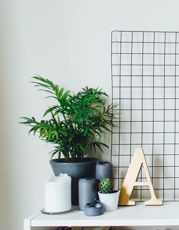 A table with a plant, candles, cactus, a letter A, and a grid.